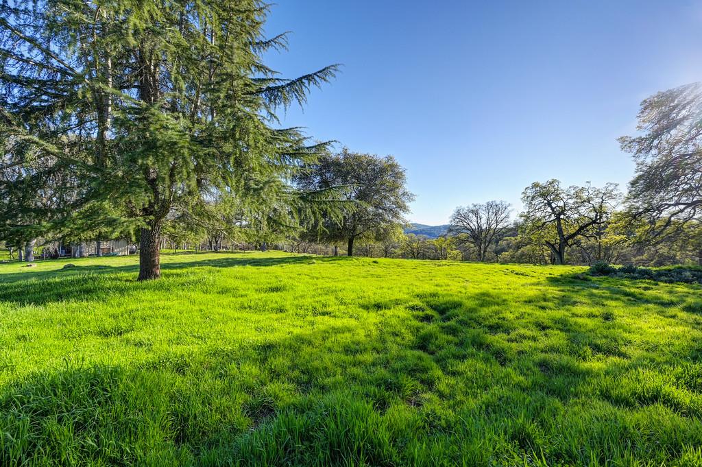 3901 Luneman Road Placerville, CA 95667 - Photo 33 of 56 a view of green field