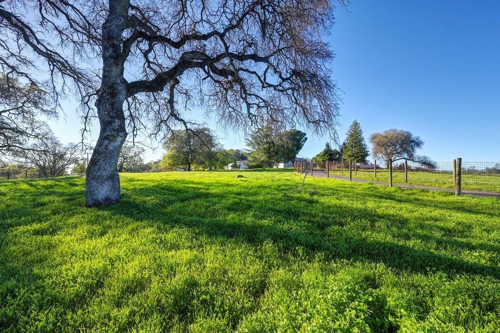 3901 Luneman Road Placerville, CA 95667 - Photo 34 of 56 a big yard with lots of green space