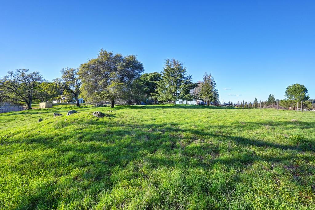 3901 Luneman Road Placerville, CA 95667 - Photo 35 of 56 a big yard with lots of green space and deers