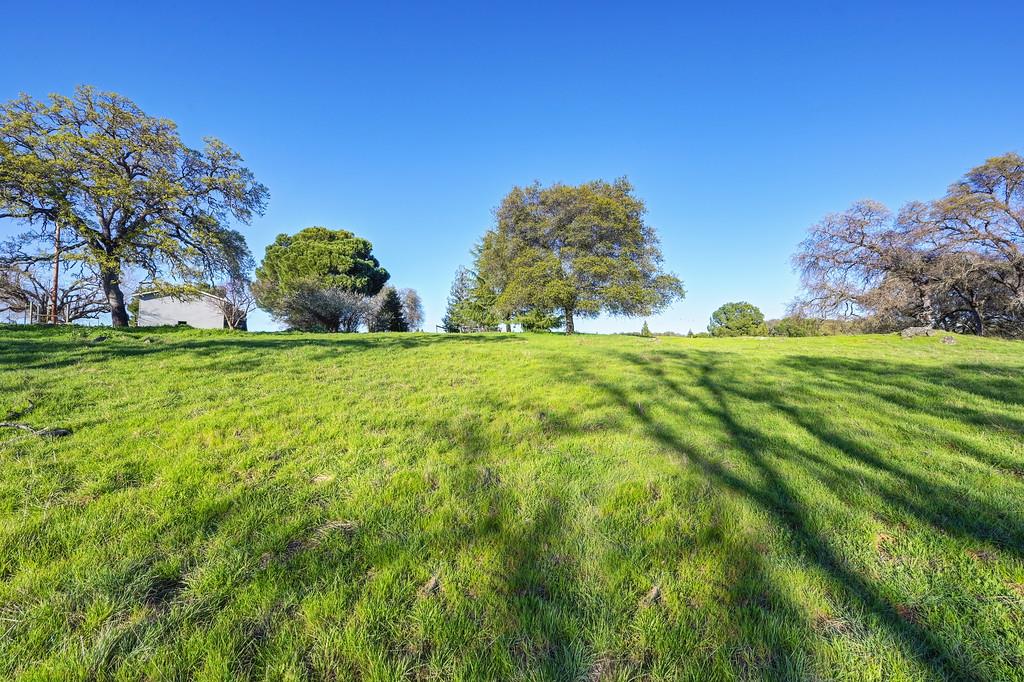 3901 Luneman Road Placerville, CA 95667 - Photo 36 of 56 a view of a big yard with large trees