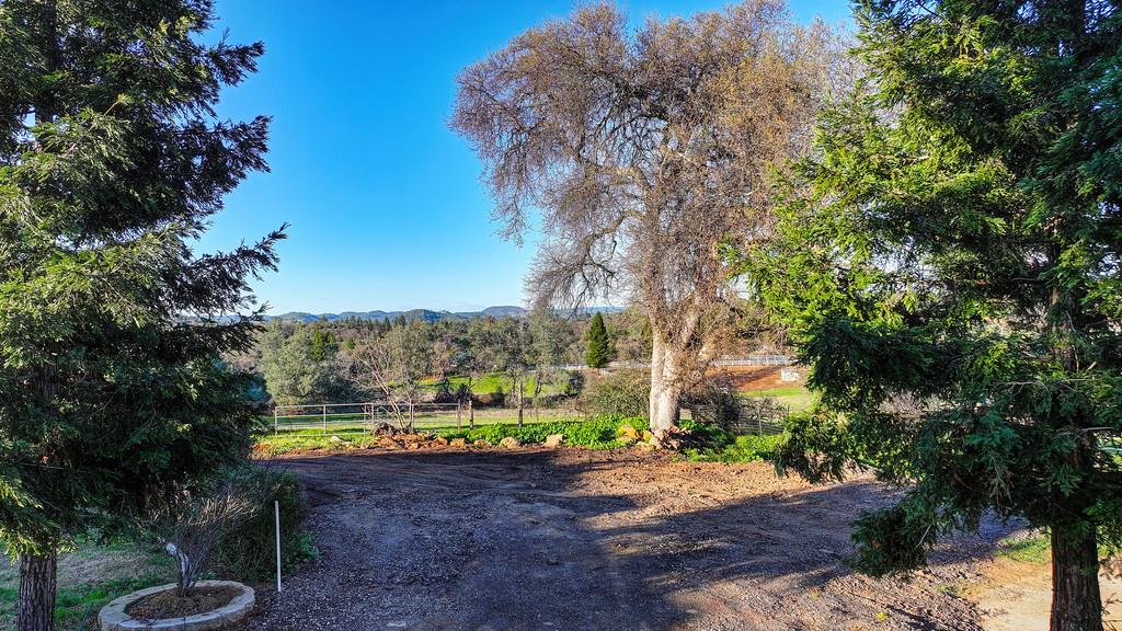 3901 Luneman Road Placerville, CA 95667 - Photo 37 of 56 a view of a yard with potted plants and large trees