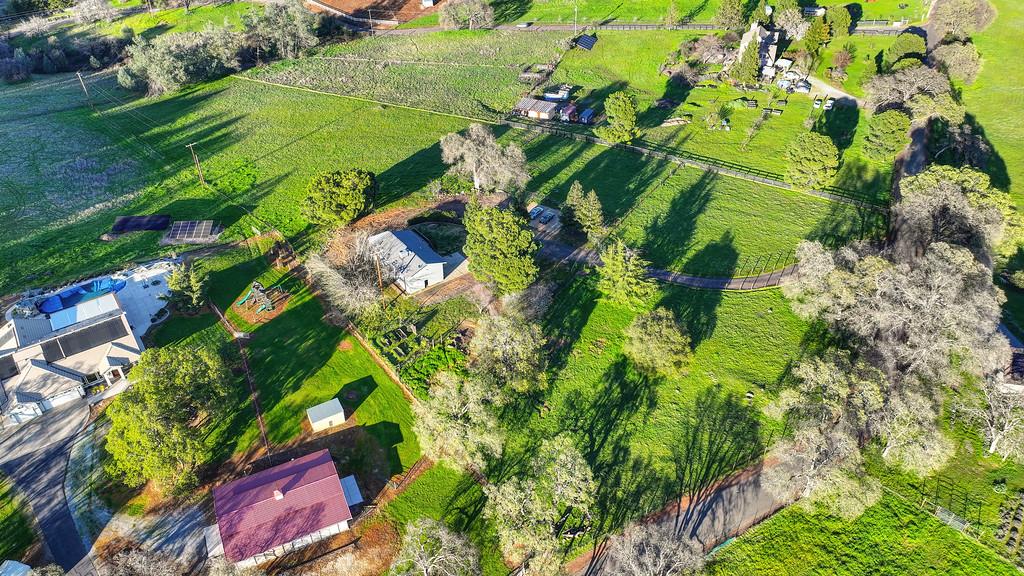 3901 Luneman Road Placerville, CA 95667 - Photo 44 of 56 a view of a garden