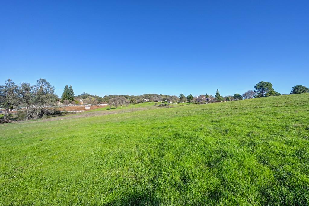 3901 Luneman Road Placerville, CA 95667 - Photo 52 of 56 a view of a city with lush green forest