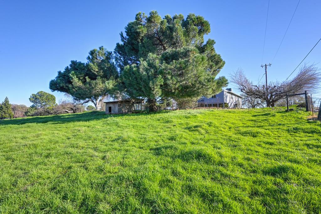 3901 Luneman Road Placerville, CA 95667 - Photo 54 of 56 a view of a park with large trees