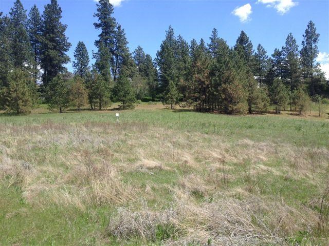 7620 North Austin Road, Unit PARCEL G Spokane, WA 99208 - Photo 4 of 8 Gallery Image 4