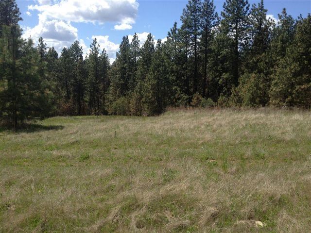 7620 North Austin Road, Unit PARCEL G Spokane, WA 99208 - Photo 5 of 8 Gallery Image 5