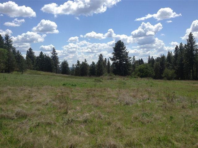 7620 North Austin Road, Unit PARCEL G Spokane, WA 99208 - Photo 6 of 8 Gallery Image 6
