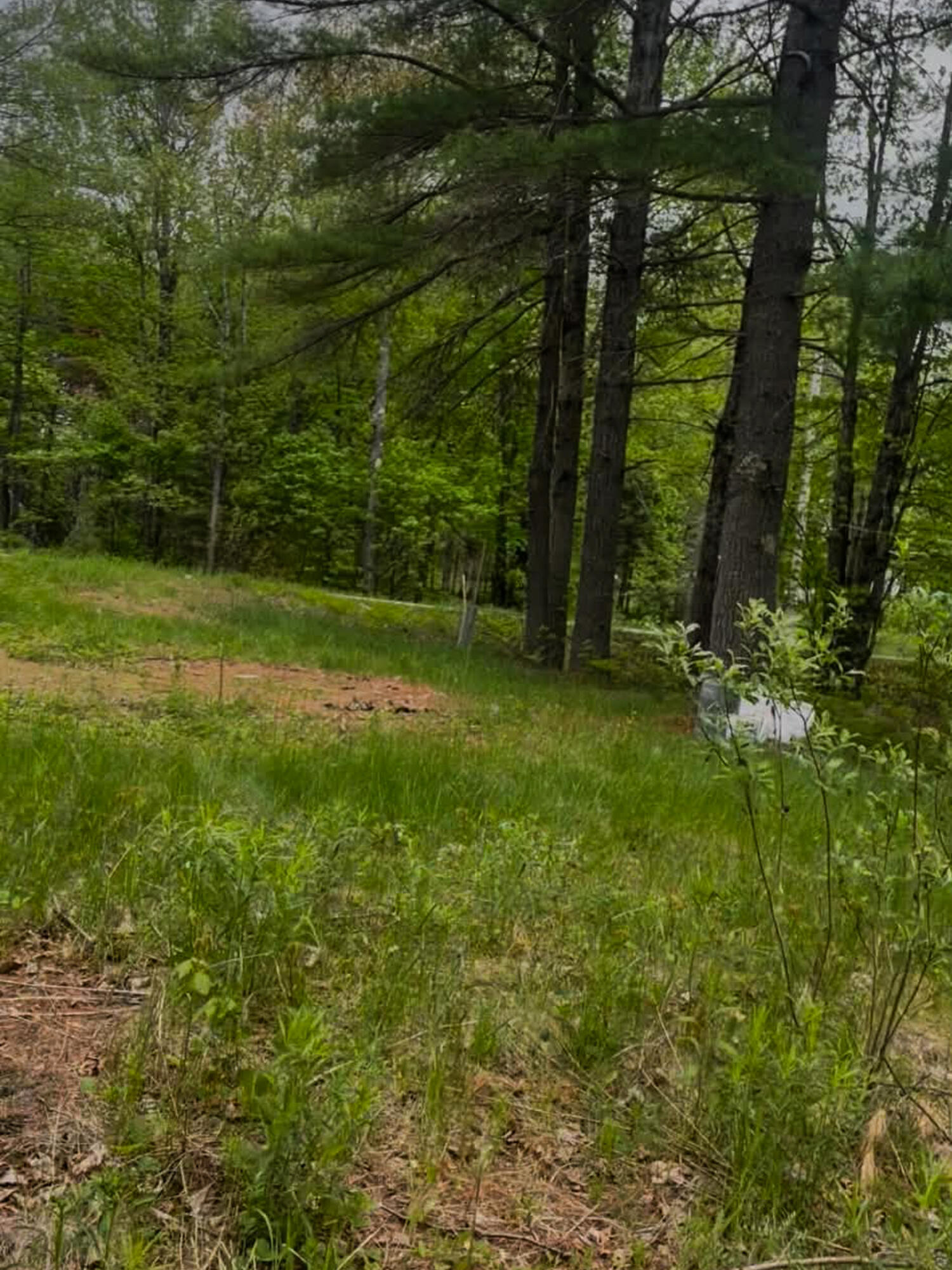 4422 Bennoch Road Alton, ME 04468 - Photo 6 of 11 26 Old County 7 Fox Run -7