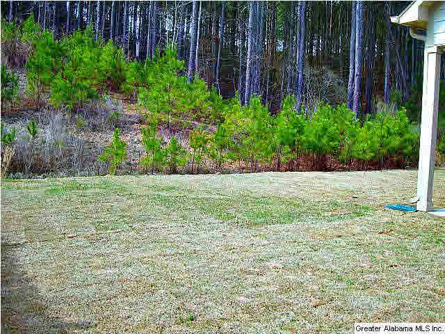 1049 Merion Drive, Unit 168 Calera, AL 35040 - Photo 20 of 30