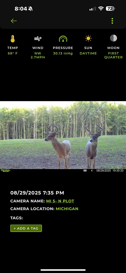 13980 12 12 Mile Road Rodney, MI 49342 - Photo 89 of 98