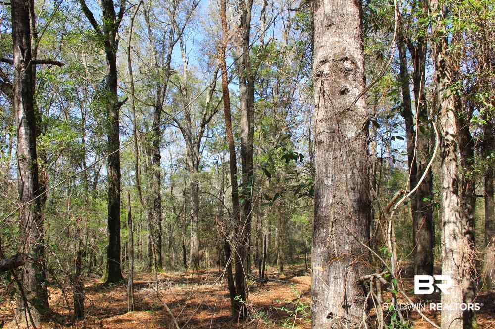 0 County Road 49 Loxley, AL 36551 - Photo 24 of 33