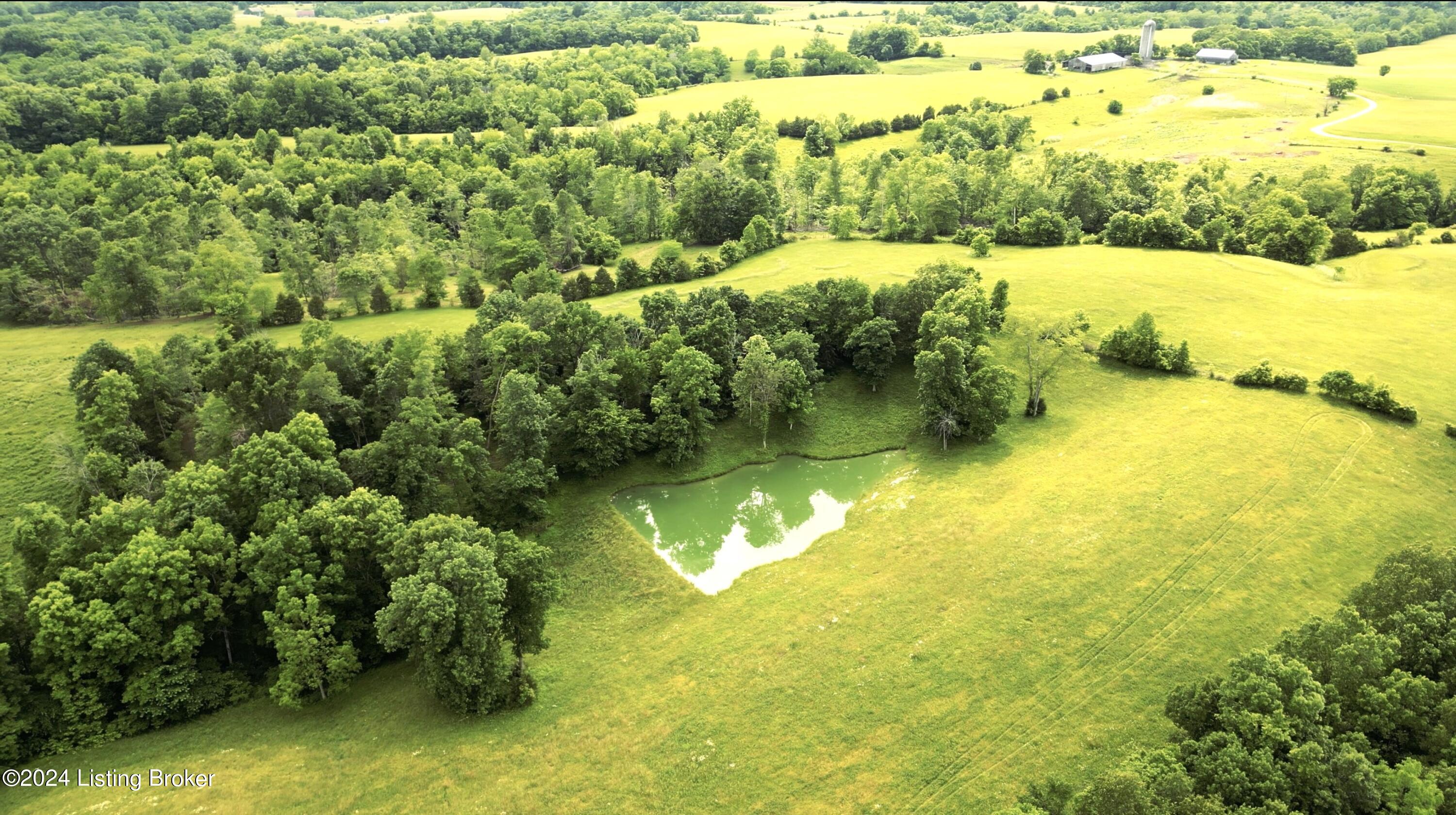 0 Timber Creek Road, Unit TRACT B Bloomfield, KY 40008 - Photo 5 of 18 pond aerial 2