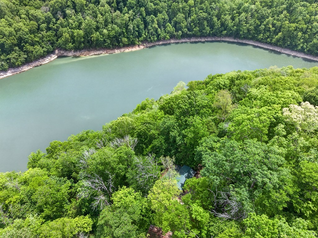 8045 Sarah Thomas Road Silver Point, TN 38582 - Photo 2 of 46