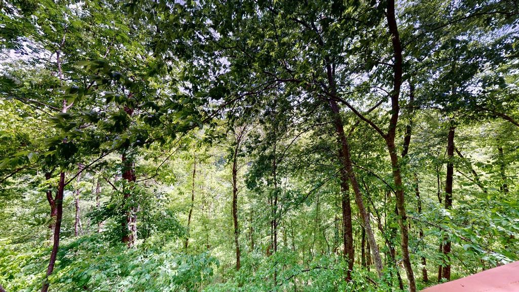 8045 Sarah Thomas Road Silver Point, TN 38582 - Photo 35 of 46