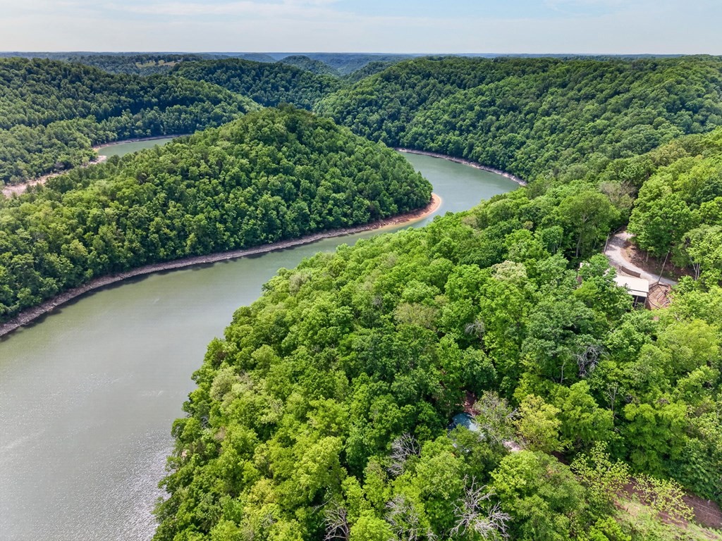 8045 Sarah Thomas Road Silver Point, TN 38582 - Photo 36 of 46