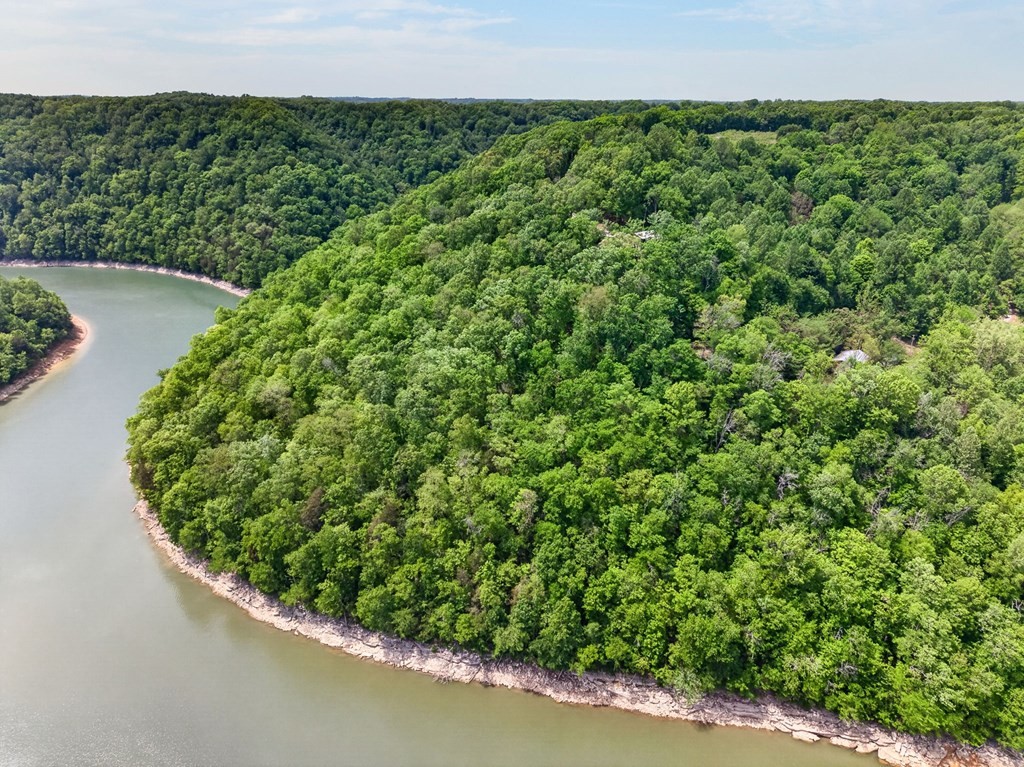 8045 Sarah Thomas Road Silver Point, TN 38582 - Photo 37 of 46