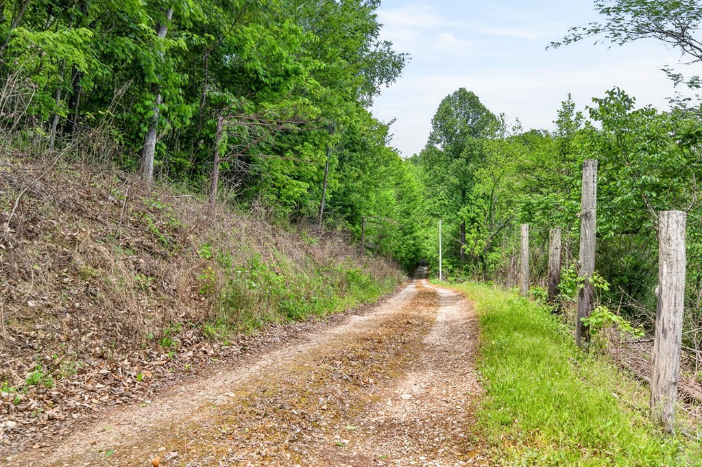 8045 Sarah Thomas Road Silver Point, TN 38582 - Photo 38 of 46