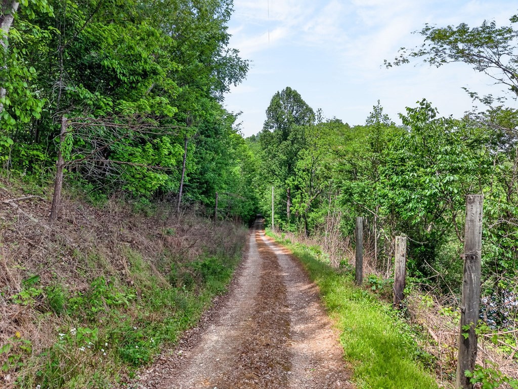 8045 Sarah Thomas Road Silver Point, TN 38582 - Photo 39 of 46