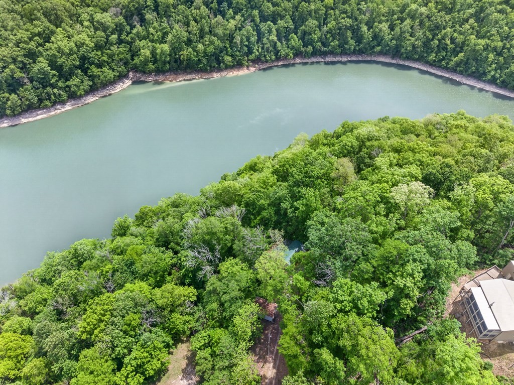 8045 Sarah Thomas Road Silver Point, TN 38582 - Photo 41 of 46