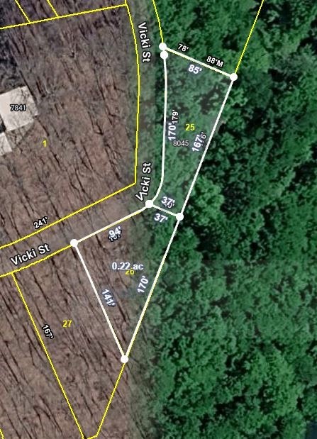 8045 Sarah Thomas Road Silver Point, TN 38582 - Photo 42 of 46