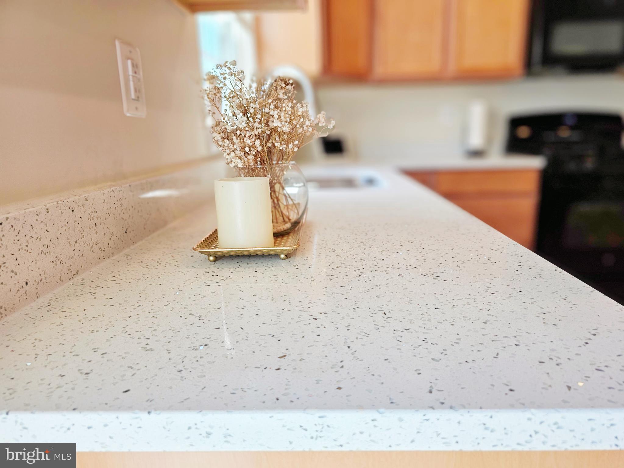 9511 Fall Haven Road Fredericksburg, VA 22407 - Photo 8 of 26 New Granite Countertop