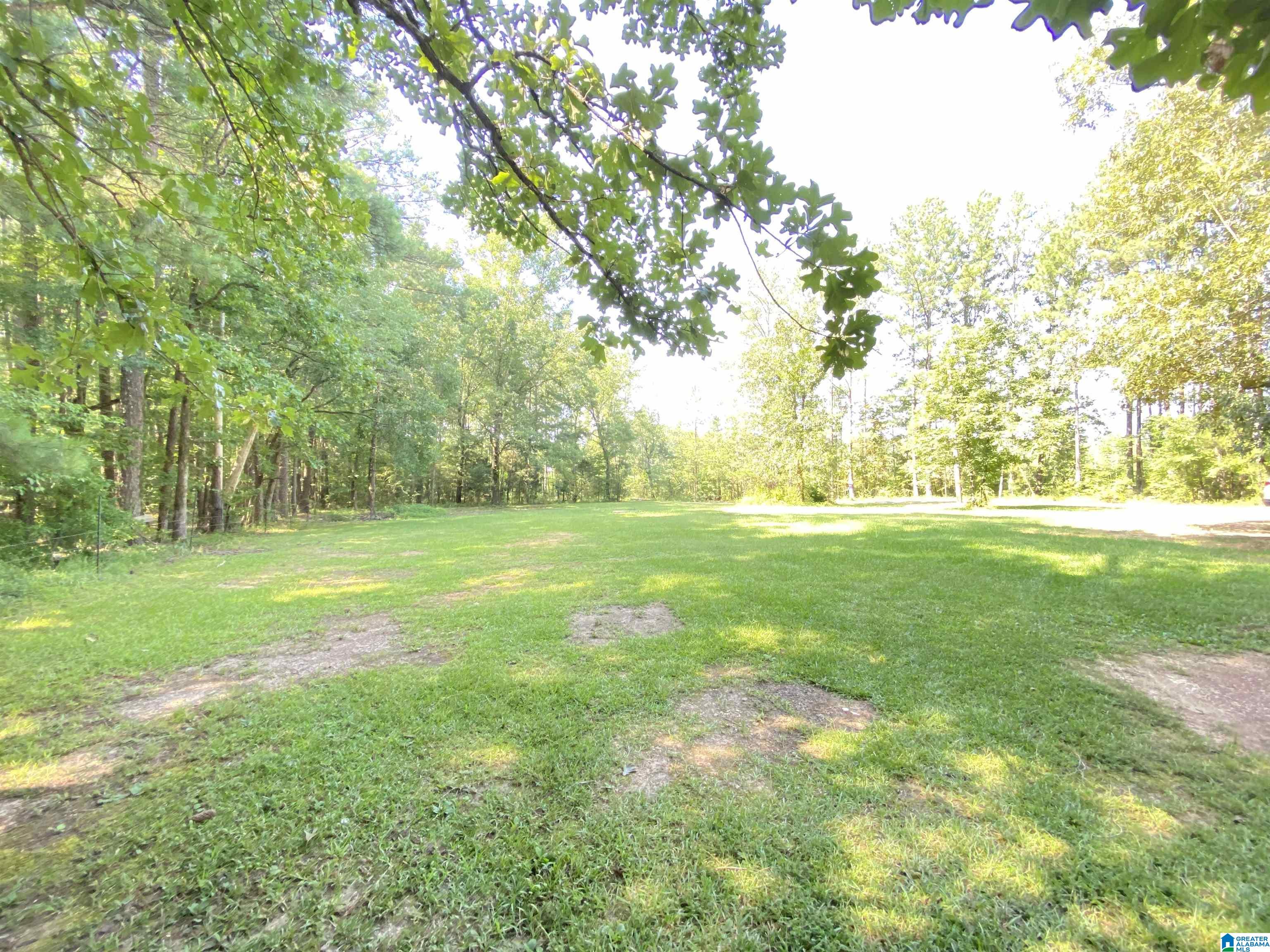330 Canoe Creek Lane Springville, AL 35146 - Photo 6 of 39