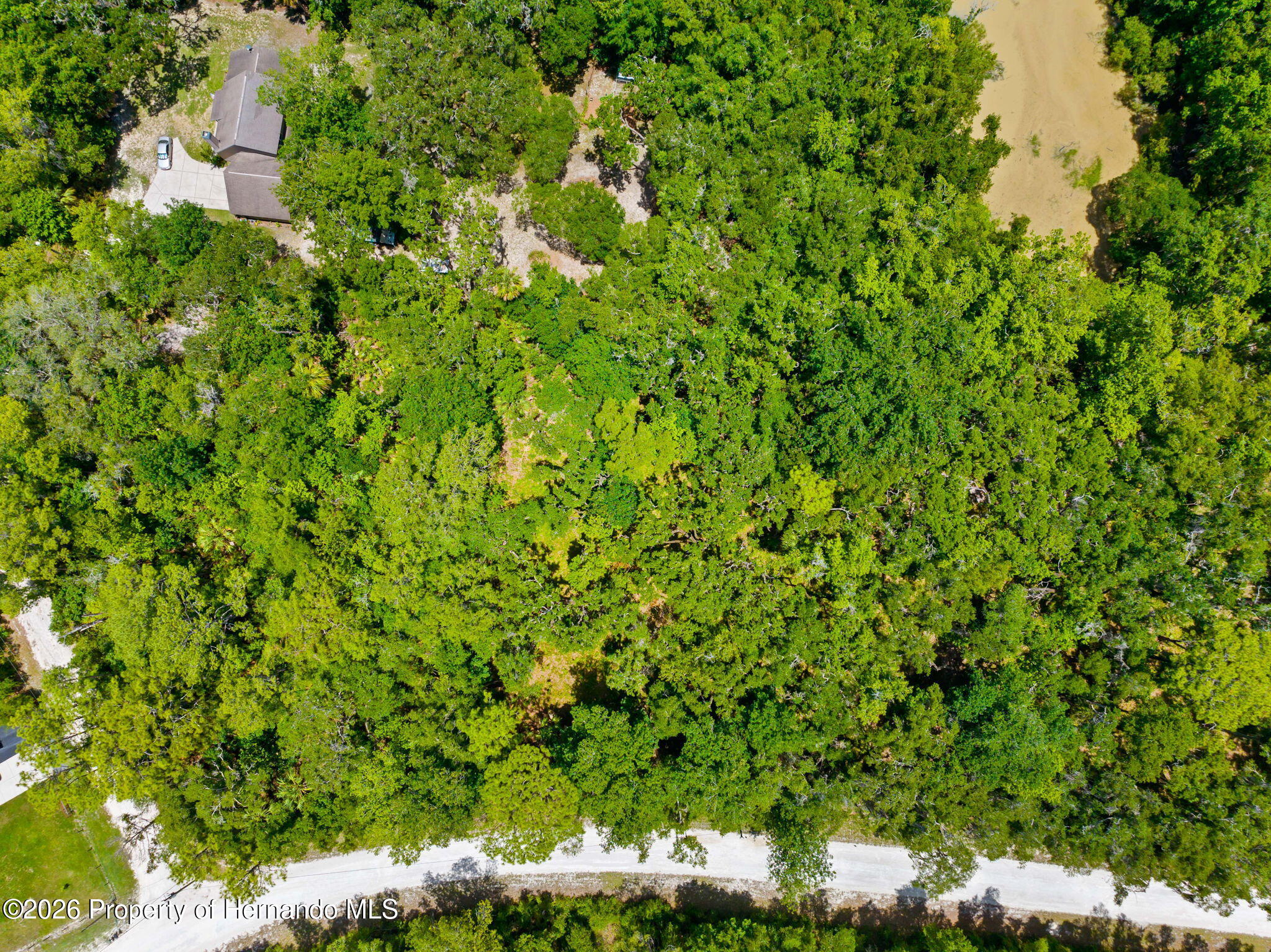 0 Ricebird Avenue Weeki Wachee, FL 34614 - Photo 13 of 26