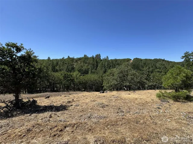 a view of a dry yard with trees