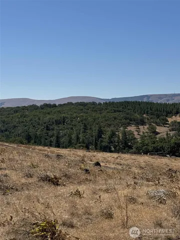 a view of ocean and green space
