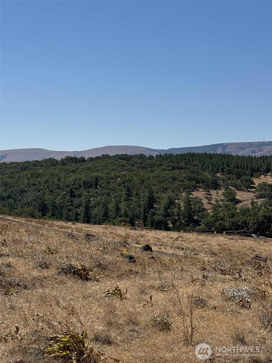 0 Parcel, Unit 3140400000200 Prosser, WA 99350 - Photo 6 of 8 a view of a dry yard with trees