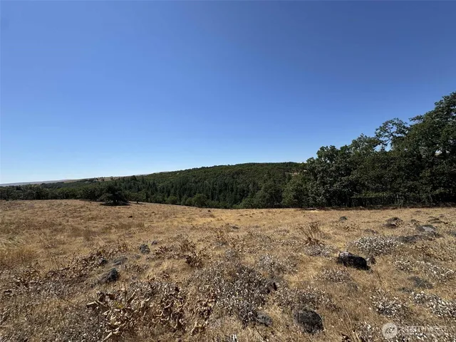 a view of outdoor space and yard
