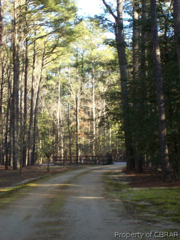 2118 Glebe Road Mathews, VA 23109 - Photo 15 of 22 a view of outdoor space and trees