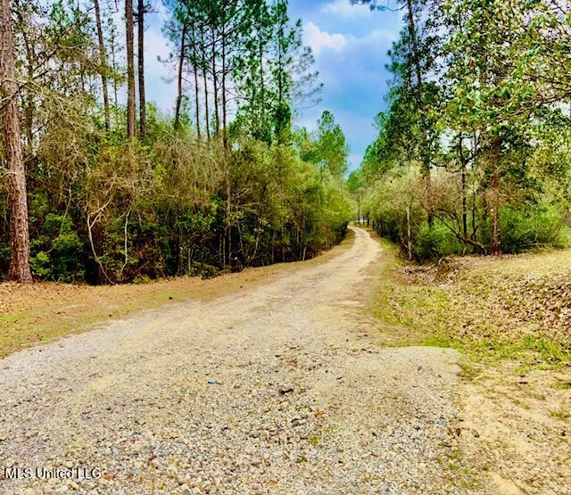 15429 Indian Fork Road Vancleave, MS 39565 - Photo 13 of 63 Drive
