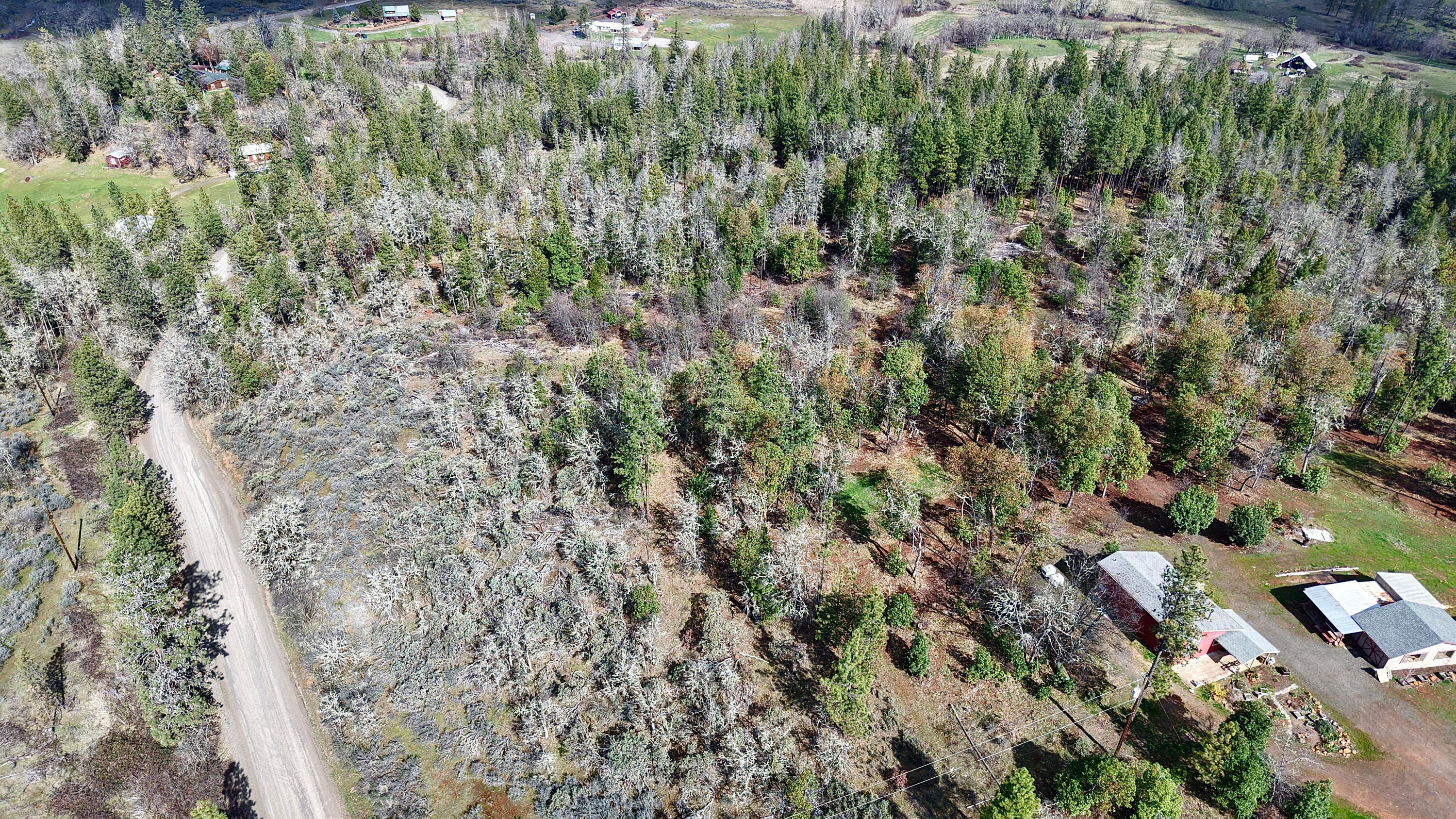 509 Derby Road Eagle Point, OR 97524 - Photo 48 of 49 Aerial