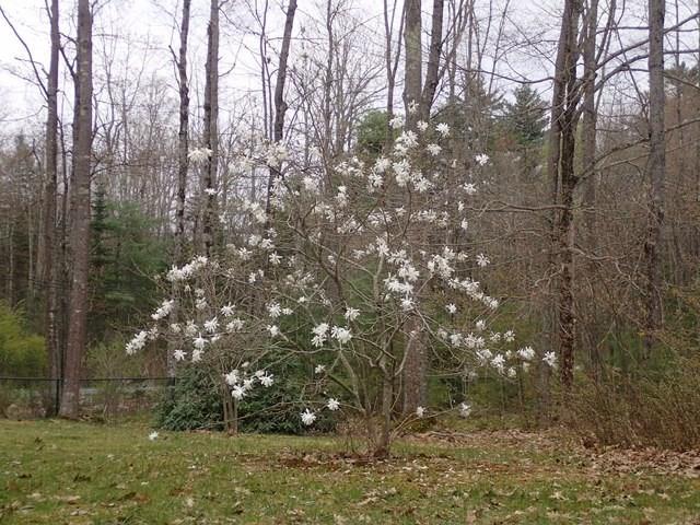 170 Soper Road Durham, ME 04222 - Photo 3 of 33 Photo