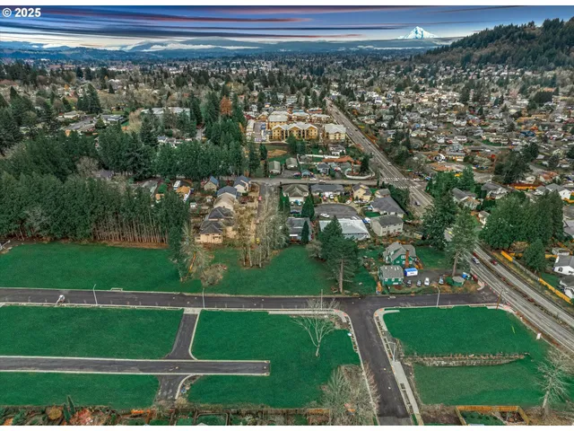 a black and white photo of a field