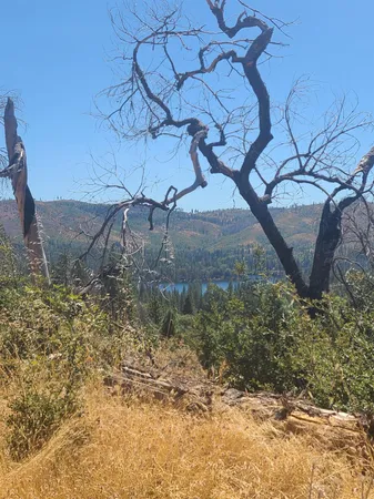 $36,000 | 0 Hog Ranch Road, Oroville, CA 95965