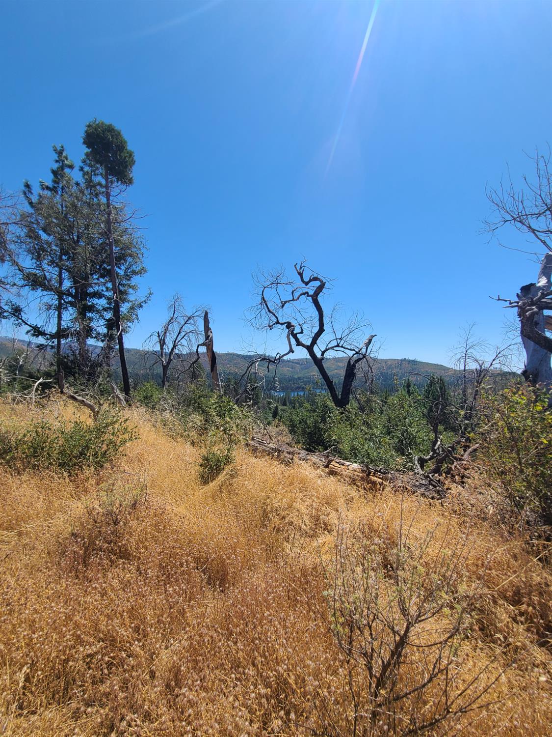 0 Hogg Ranch Road Oroville, CA 95965 - Photo 4 of 4 a view of a dry yard with trees
