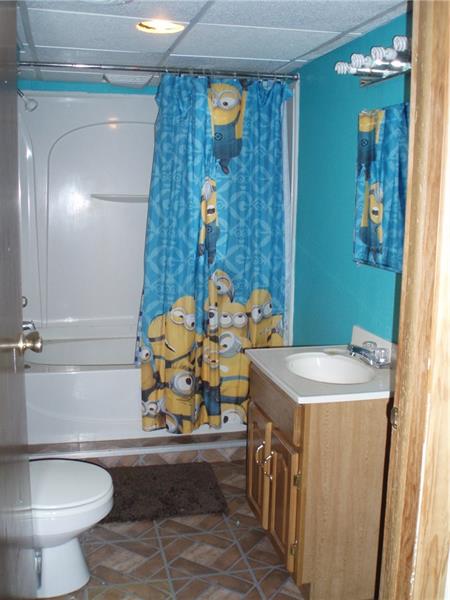 810 Bagdad Road Leechburg, PA 15656 - Photo 15 of 17 Basement Bathroom
