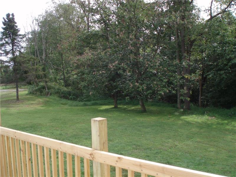 810 Bagdad Road Leechburg, PA 15656 - Photo 4 of 17 Back Yard