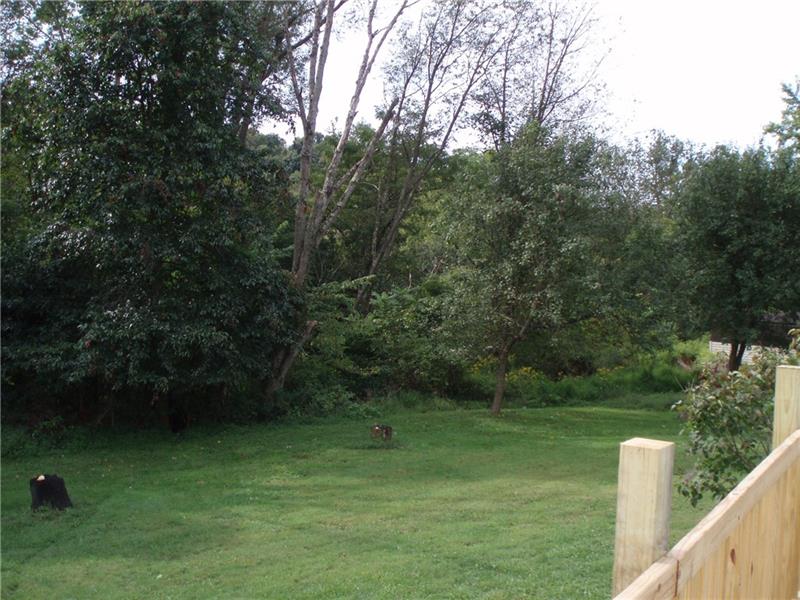 810 Bagdad Road Leechburg, PA 15656 - Photo 5 of 17 Back Yard
