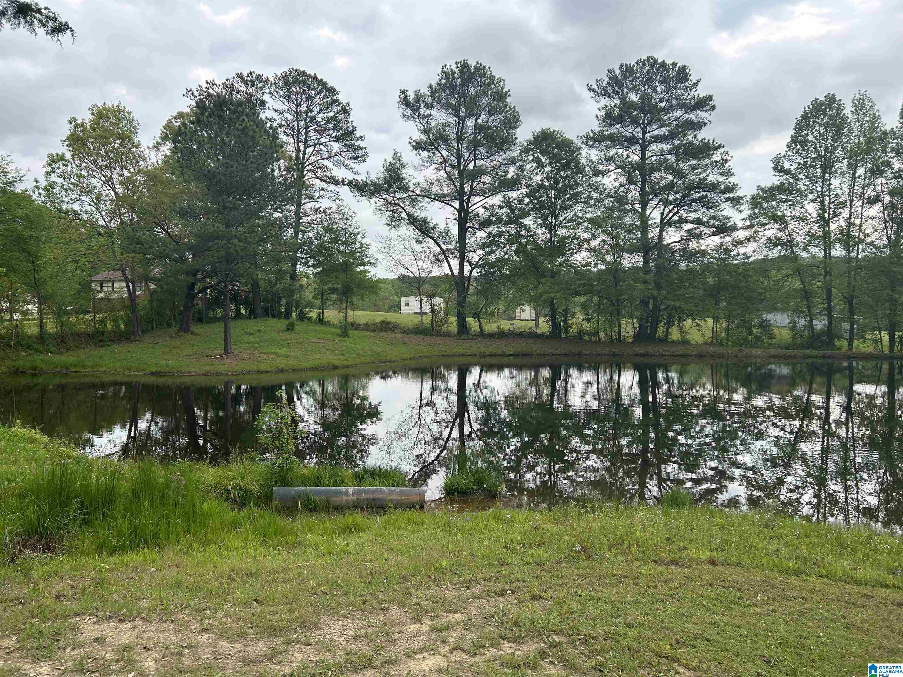 625 Dee Hendrix Road, Unit 6 9 ACRES Bessemer, AL 35023 - Photo 8 of 14