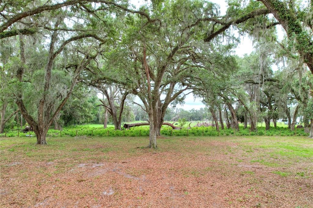 Tbd Southeast Tbd Se 14th Terrace Bushnell, FL 33513 - Photo 5 of 24