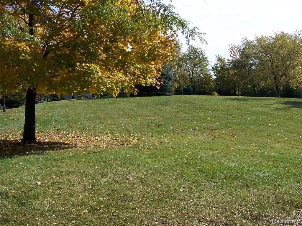 6474 Ridgewood Road Clarkston, MI 48346 - Photo 11 of 13 100_6111