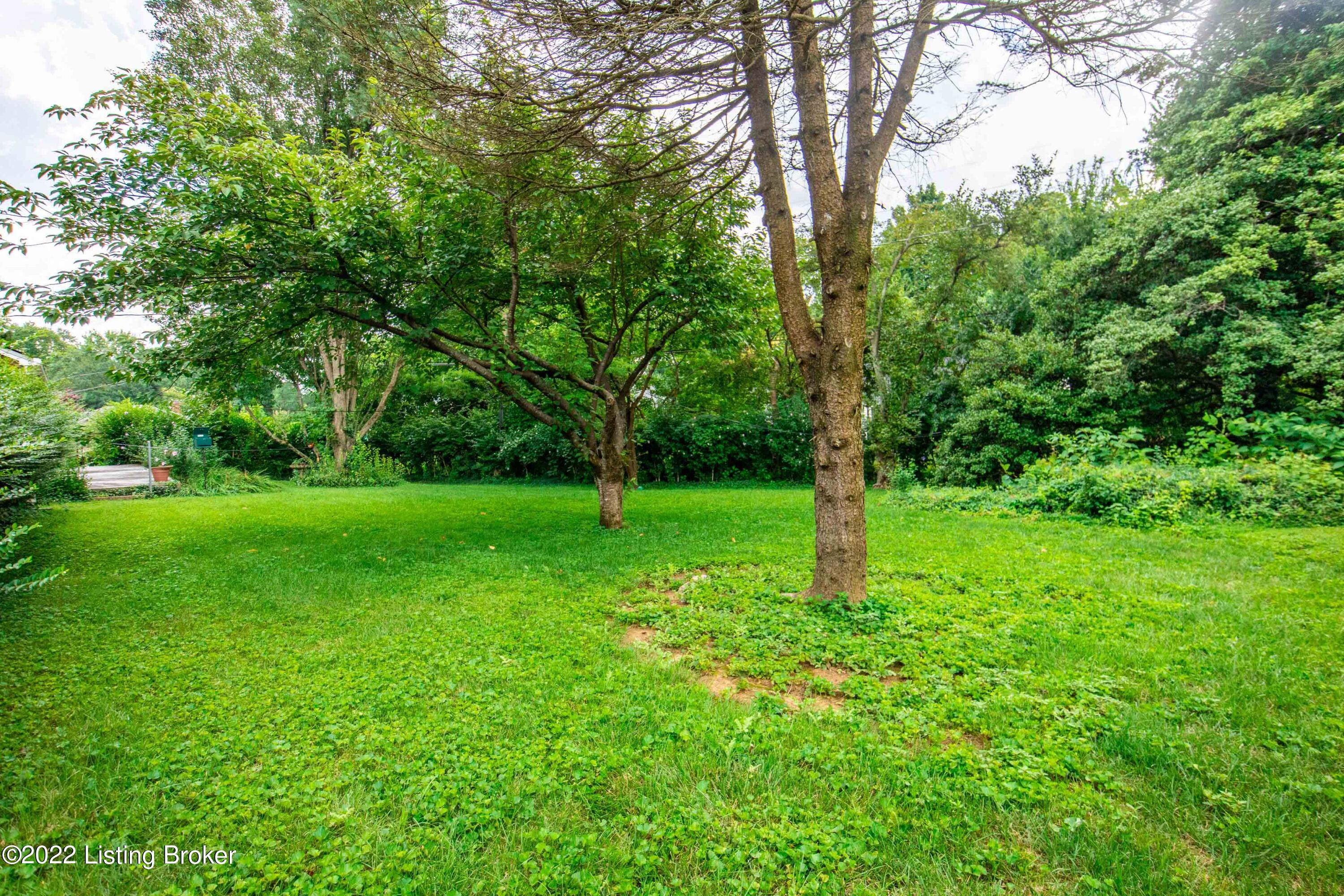 700 Merrifield Road Louisville, KY 40207 - Photo 57 of 61 0.47 Acre Lot