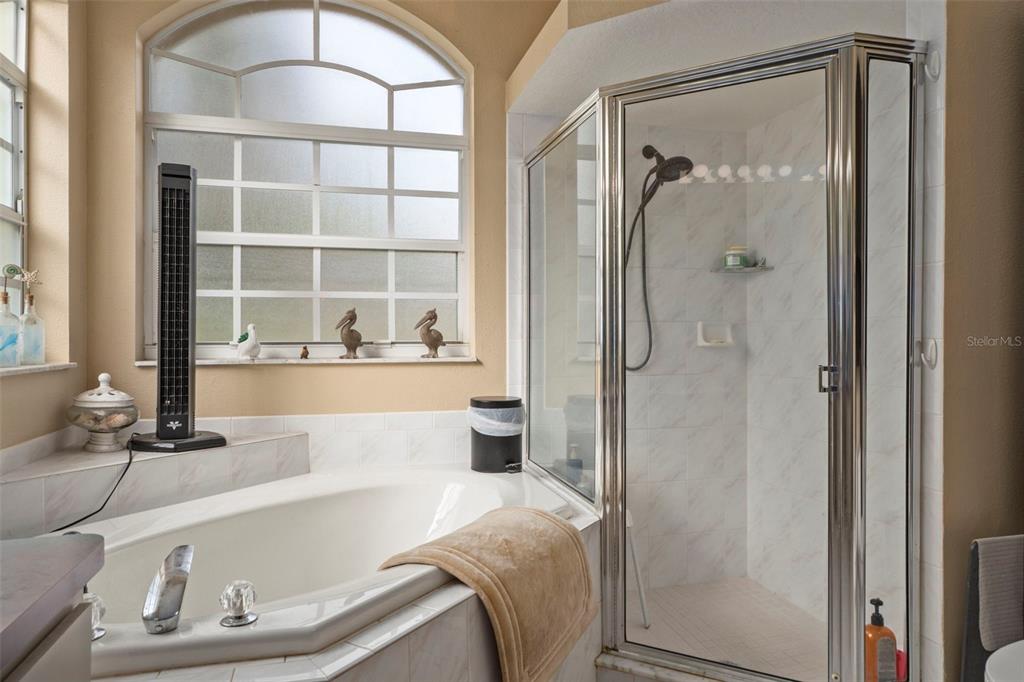 1378 Matthew Avenue Spring Hill, FL 34609 - Photo 22 of 56 a bath tub sitting next to a blue sink and a mirror