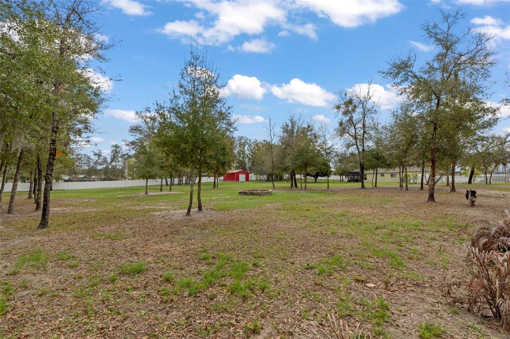 1378 Matthew Avenue Spring Hill, FL 34609 - Photo 38 of 56 a view of a park