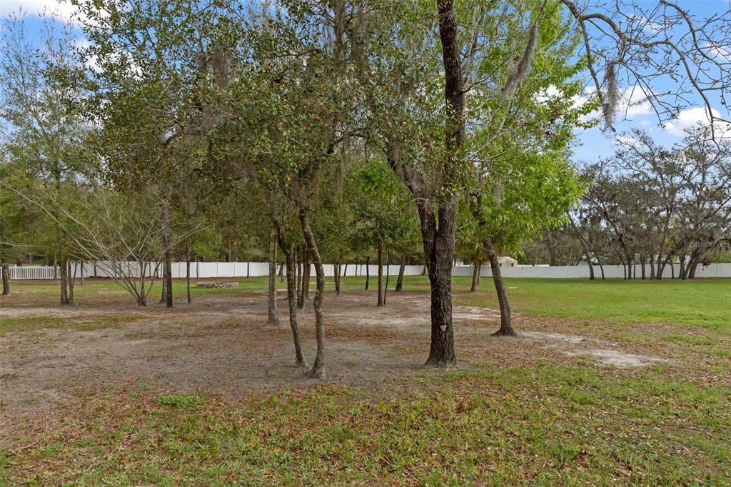 1378 Matthew Avenue Spring Hill, FL 34609 - Photo 39 of 56 a view of park with trees