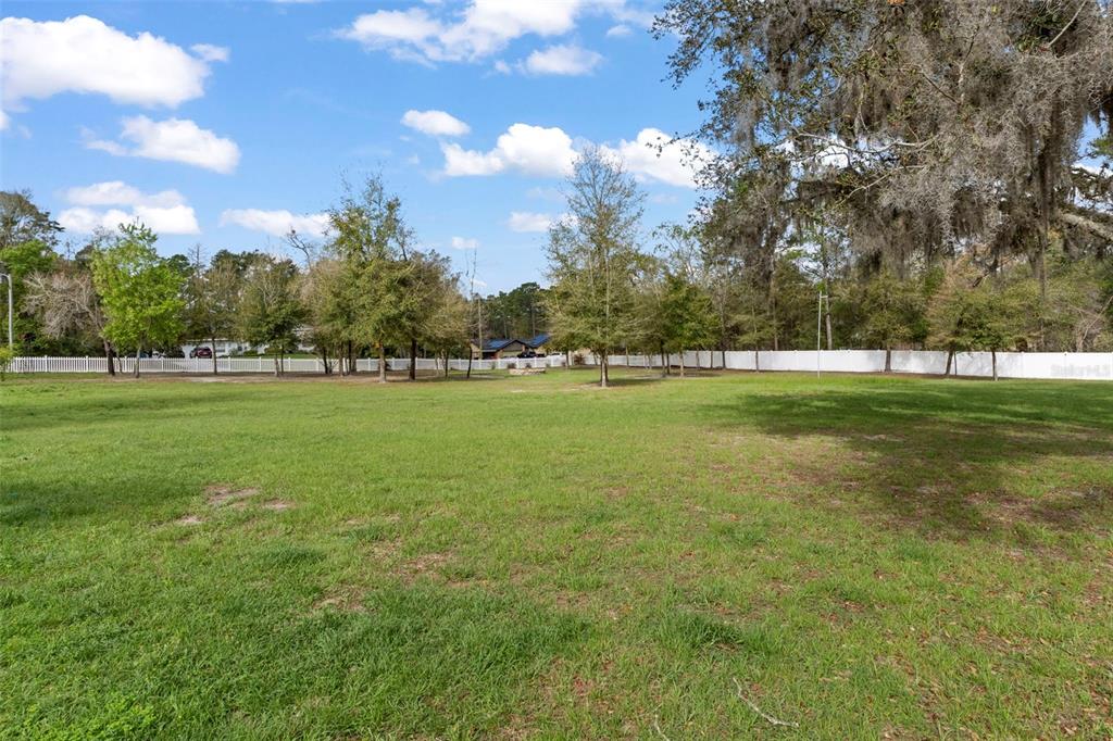 1378 Matthew Avenue Spring Hill, FL 34609 - Photo 43 of 56 a view of a green field with trees in the background