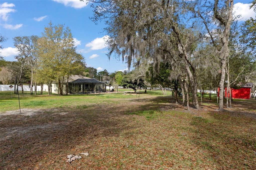 1378 Matthew Avenue Spring Hill, FL 34609 - Photo 47 of 56